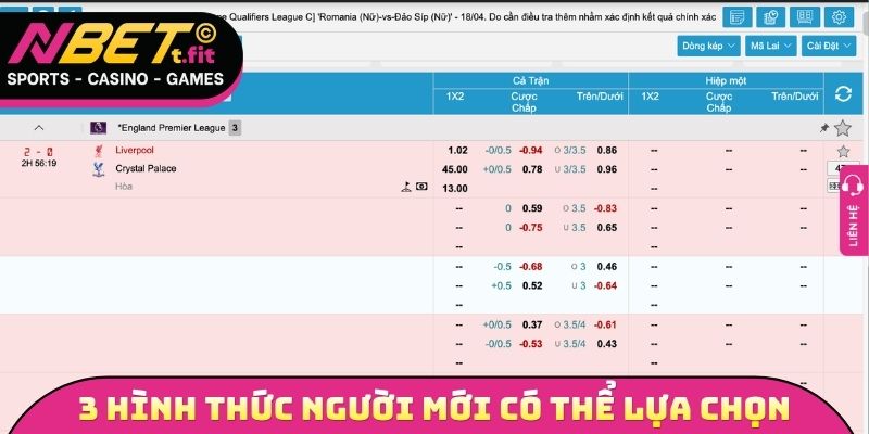 3 hình thức cược người mới có thể lựa chọn