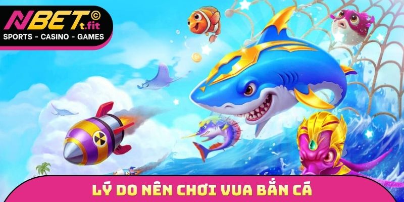 Lý do nên chơi vua bắn cá